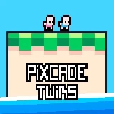 Pixcade Twins